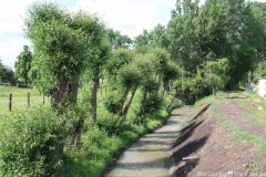 bilder2014_004
