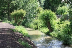 bilder2014_005