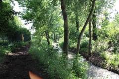 bilder2014_006