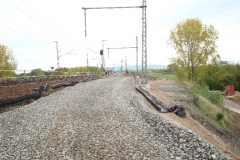 DSC00211
