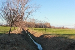 Fruehling_2011_001