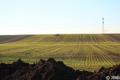 Fruehling_2011_002