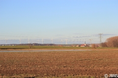 Fruehling_2011_003