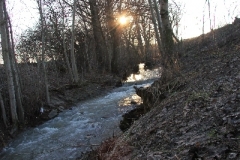 Fruehling_2011_004