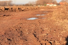 Fruehling_2011_007