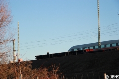 Fruehling_2011_010
