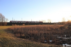 Fruehling_2011_014
