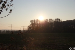 Herbst_2010_003