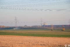 Herbst_2010_008