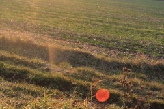 Herbst_2010_009