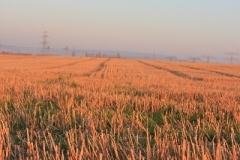 Herbst_2010_010