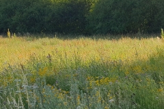 20190703_200101
