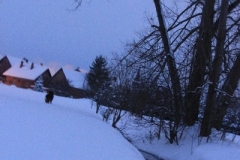 Winter_2010_002