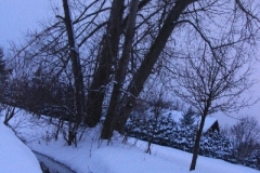 Winter_2010_003