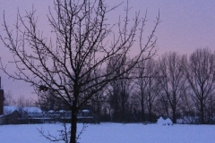Winter_2010_004