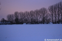 Winter_2010_005