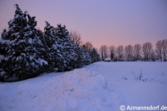 Winter_2010_006